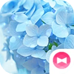 Logo of Blue Hydrangea Theme android Application 